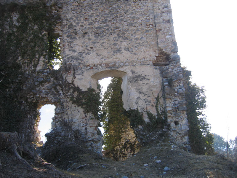 Castelli,Torri e Palazzi.....del Trentino